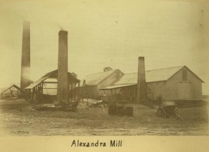 Alexandra Mill